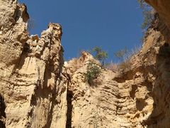 -元谋土林景区(物茂土林)