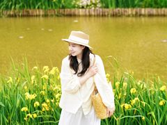 -荷兰花海