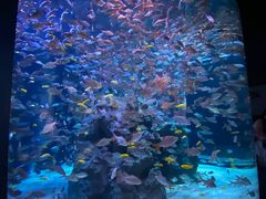 -成都浩海立方海洋公园