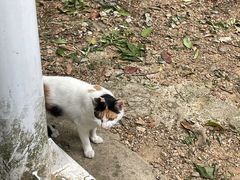 -敬亭山风景名胜区