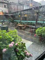 -保丽宝泰母婴护理院·月子中心·产康·中医(常州店)