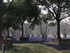 -北外滩滨江绿地