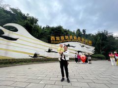 -西双版纳原始森林公园