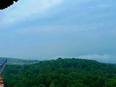 -铁山坪森林公园