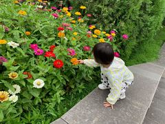 -星巴克(北京惠新东街店)