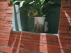 -伊斯麦尔丝路·新派菜(沙子口店)