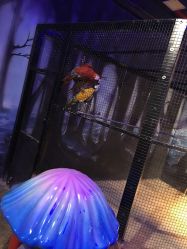 -酷嗒动物文化乐园(cutezoo西溪乐天城店)