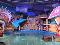 -烟台海昌鲸鲨海洋公园