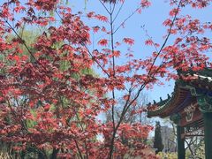 -中国农业博物馆