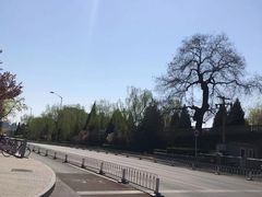 -明泽陆通汽车陪练(总店)