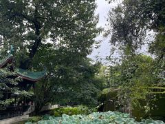 -桂湖森林公园