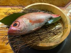-矶野水产(澳门逸园中心店)