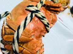 太湖大闸蟹-蚝翅·海鲜粥·烧烤·宁夏滩羊季(玉米楼店)