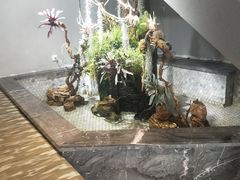 -丫头记(新村店二部)