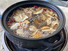 -蘑统田下·野生菌火锅