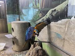 -石家庄市动物园