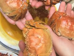 -杨氏青龙虾·羊蝎子(珠江路店)