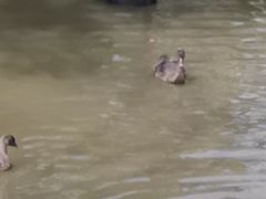 -泉州海丝野生动物世界