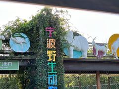-宁波野生动物园