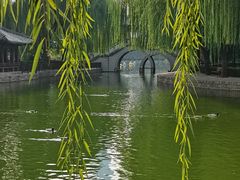 -团结湖公园
