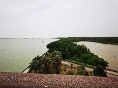 -大湾区中央湿地公园