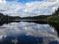 -五营红松林海景区