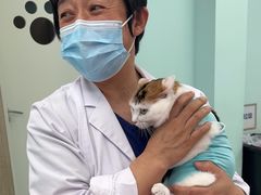 -北京观赏动物医院·24小时大型综合·猫专科·异宠专科