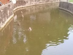 -合肥野生动物园