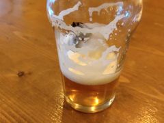 -雪梨精酿 Sydney Coast Brewing(沁春家园店)