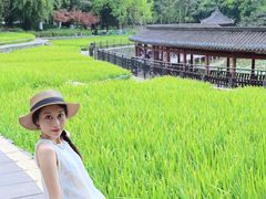 -龙头寺公园