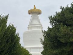 -凉州白塔寺景区