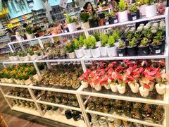 -KKV(深圳宏发大仟里店)