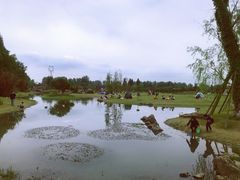 -夏河溪乡野公园