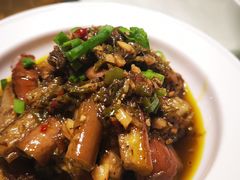 凉拌茄子-渝信川菜 · 川味家常菜(长安店)