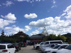 -西霞口神雕山野生动物世界