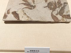 -大连金州博物馆