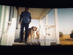 -保利国际影城(万家邻里店)