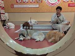 -和它·交个朋友·狗咖猫咖(爱琴海店)