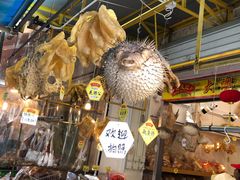 -大澳渔村及棚屋