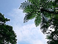 -太鲁阁公园