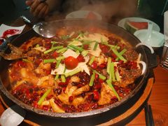 -老板恋上鱼(振华商厦店)