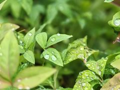 -Beans Solo豆号咖啡(百家湖花园店)