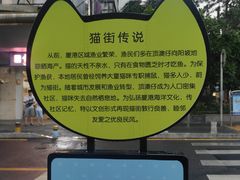 -猫咪博物馆(顶澳仔猫街店)