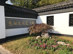 -鹅湖玫瑰文化园