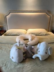 -星妈汇国际月子中心(龙珠店)