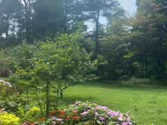 -庐山风景区花径公园