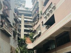 -白象居
