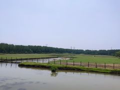 -溱湖国家湿地公园