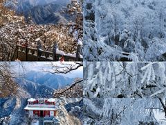 -秦岭风景区