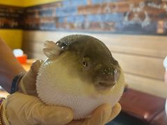 -永安鱼庄·镇江菜(丁卯店)